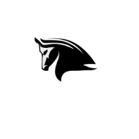 Stampede Network